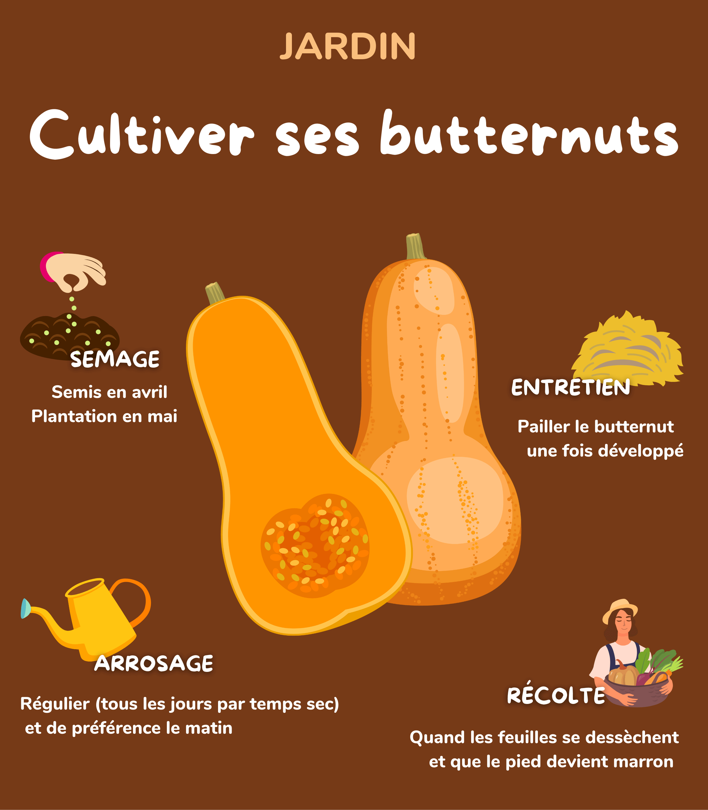 blog-Mutuelle-Just-bien-etre_courge_butternut