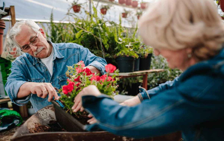 blog-Mutuelle-Just-bien-être_fleur_jardinage_seniors